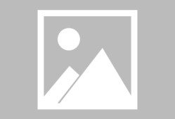 德约科维奇关键节点关键助攻，日本队带队取胜！的简单介绍